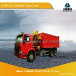 HOWO 6*4 290hp Oil Palm Truck