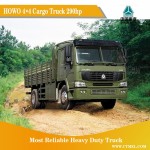 HOWO 4*4 Cargo Truck 290hp